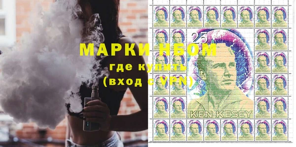 шишки Белоозёрский