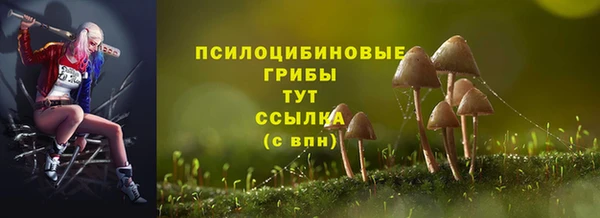 шишки Белоозёрский
