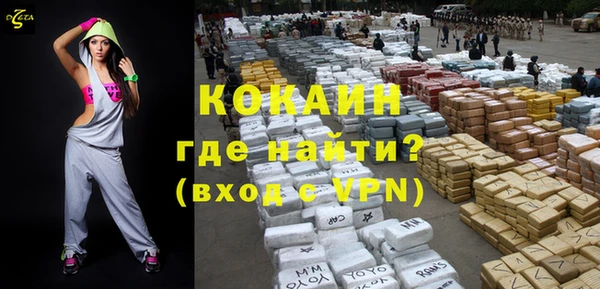 шишки Белоозёрский