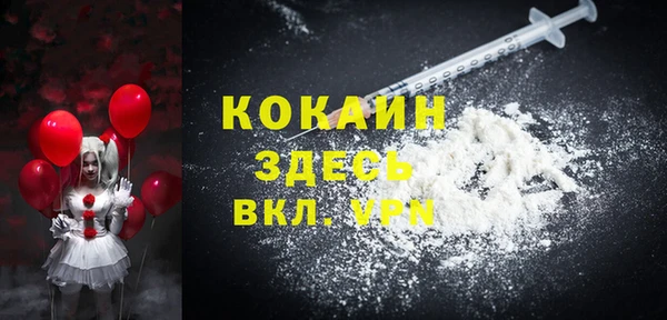 шишки Белоозёрский