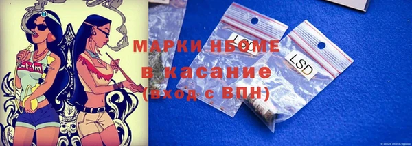шишки Белоозёрский