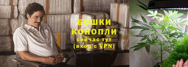 a pvp Белокуриха