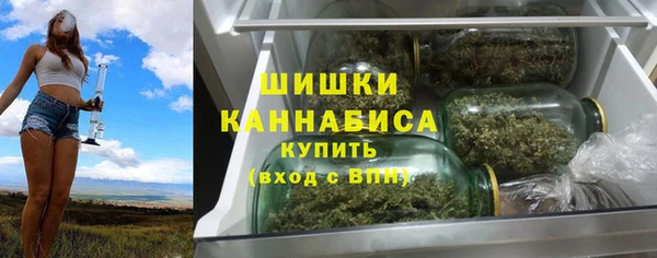 шишки Белоозёрский